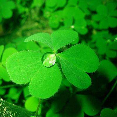 开玩棋牌app下载