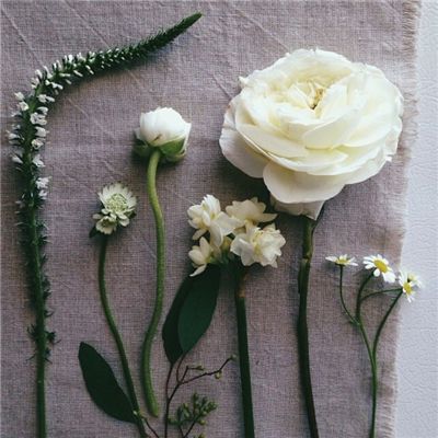 bsport体育在线登录下载手机版截图