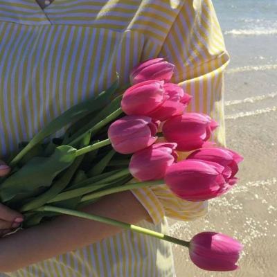 宝威体育app下载