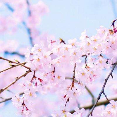 开玩棋牌app下载截图